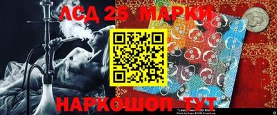 гашик Новозыбков