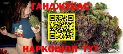 гашик Новозыбков