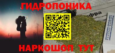 гашик Новозыбков