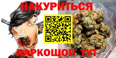 гашик Новозыбков