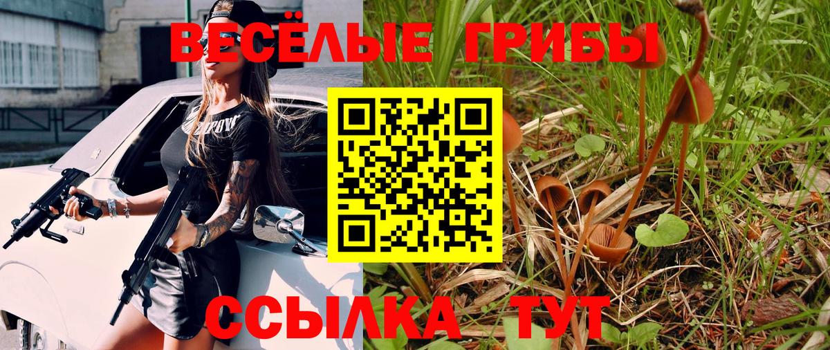 Псилоцибиновые грибы прущие грибы Октябрьский